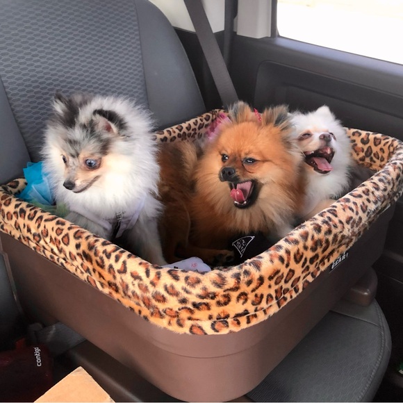 💌 @ccvintageresale Jen is LIVE ✨ Pop in anytime relaxed vibes & cute finds - Picture 6 of 15